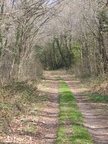 2009-03
